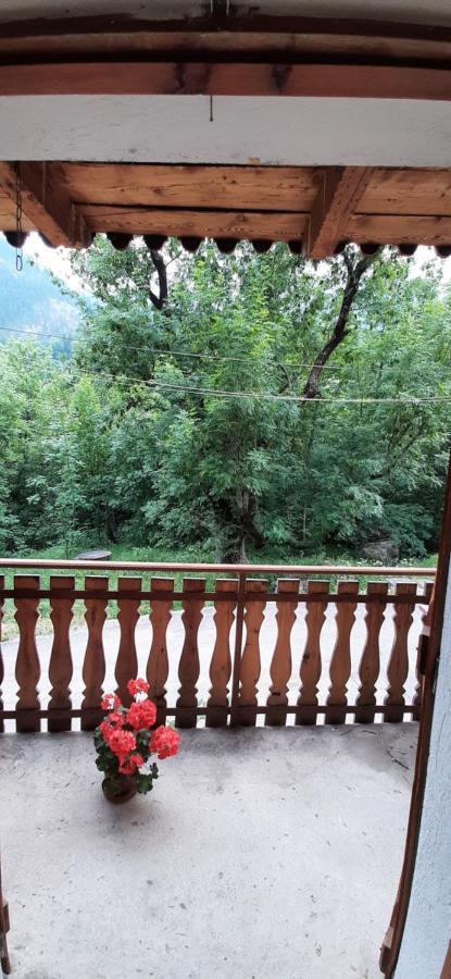 Apartament La Casa Del Gigante Frassino Acceglio Zewnętrze zdjęcie