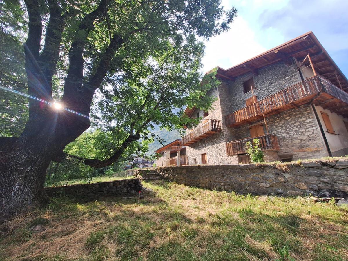 Apartament La Casa Del Gigante Frassino Acceglio Zewnętrze zdjęcie